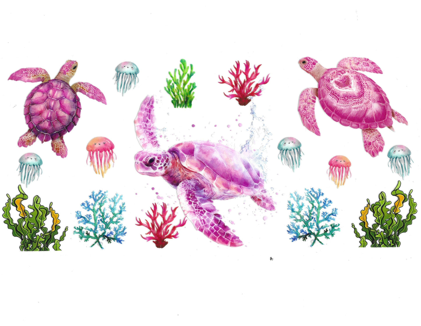 Turtle #30