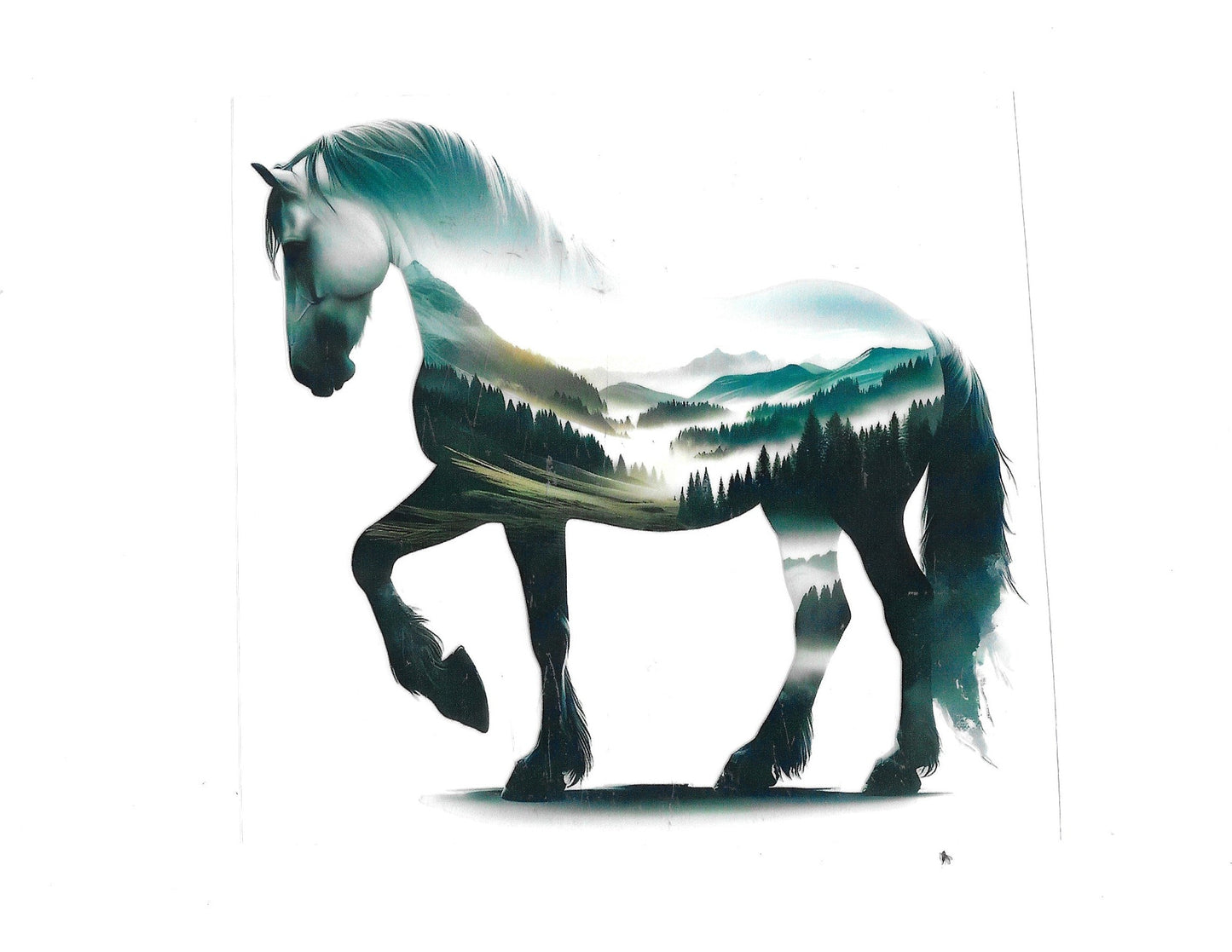 Horse #36