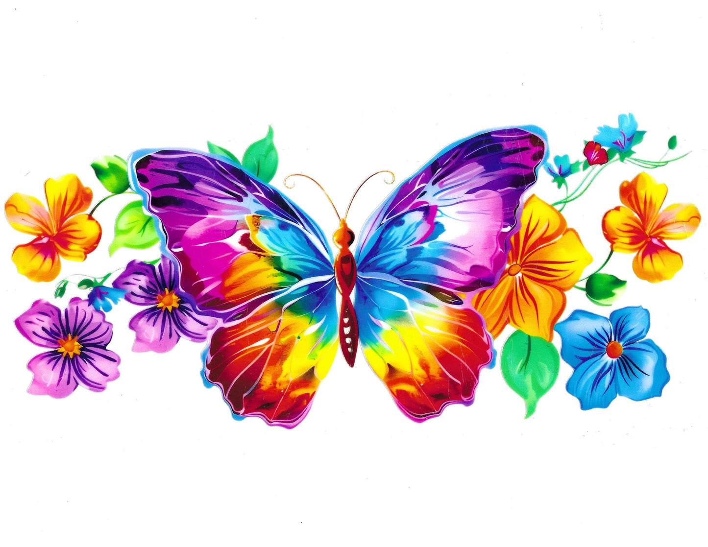 Butterfly #15