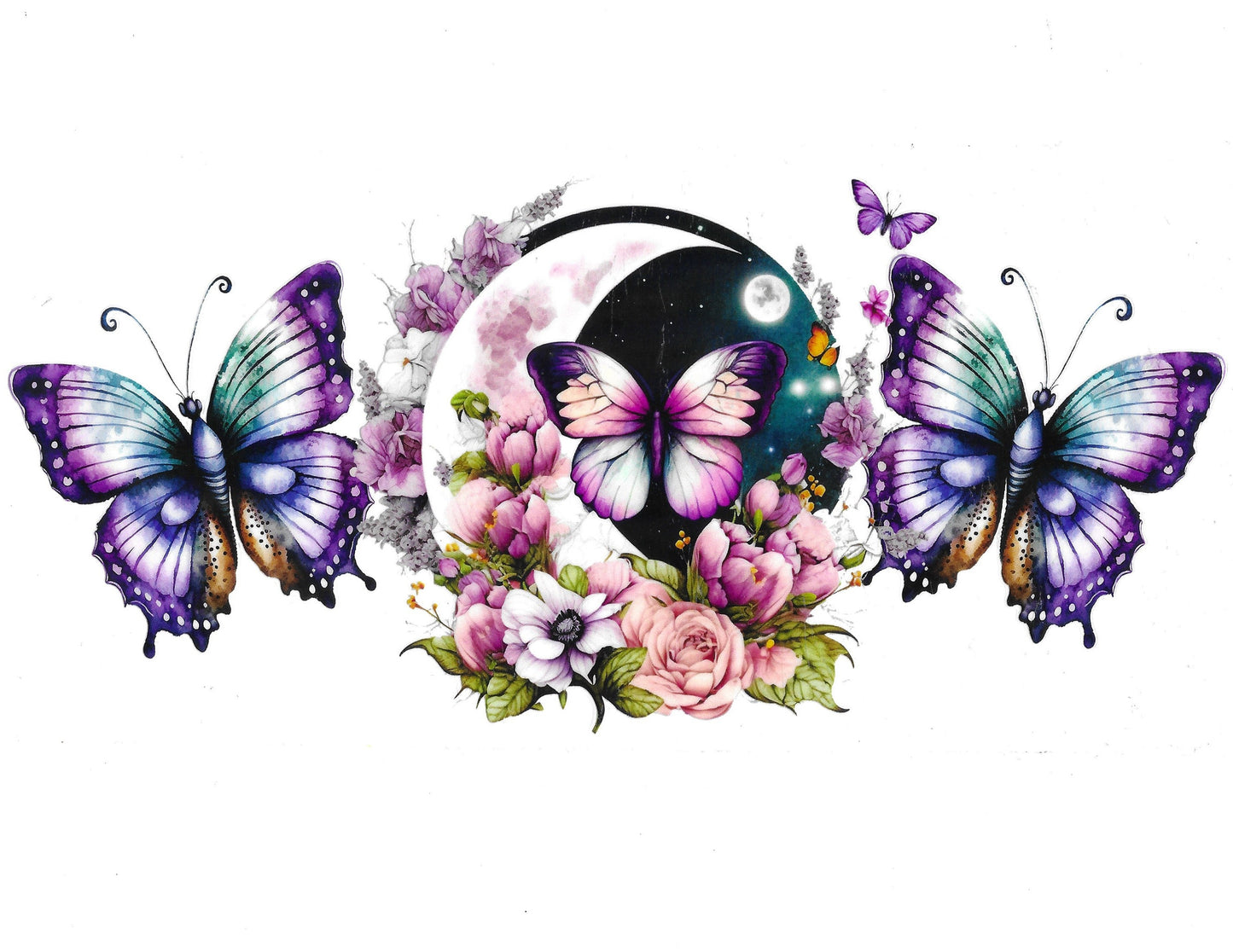 Butterfly #27