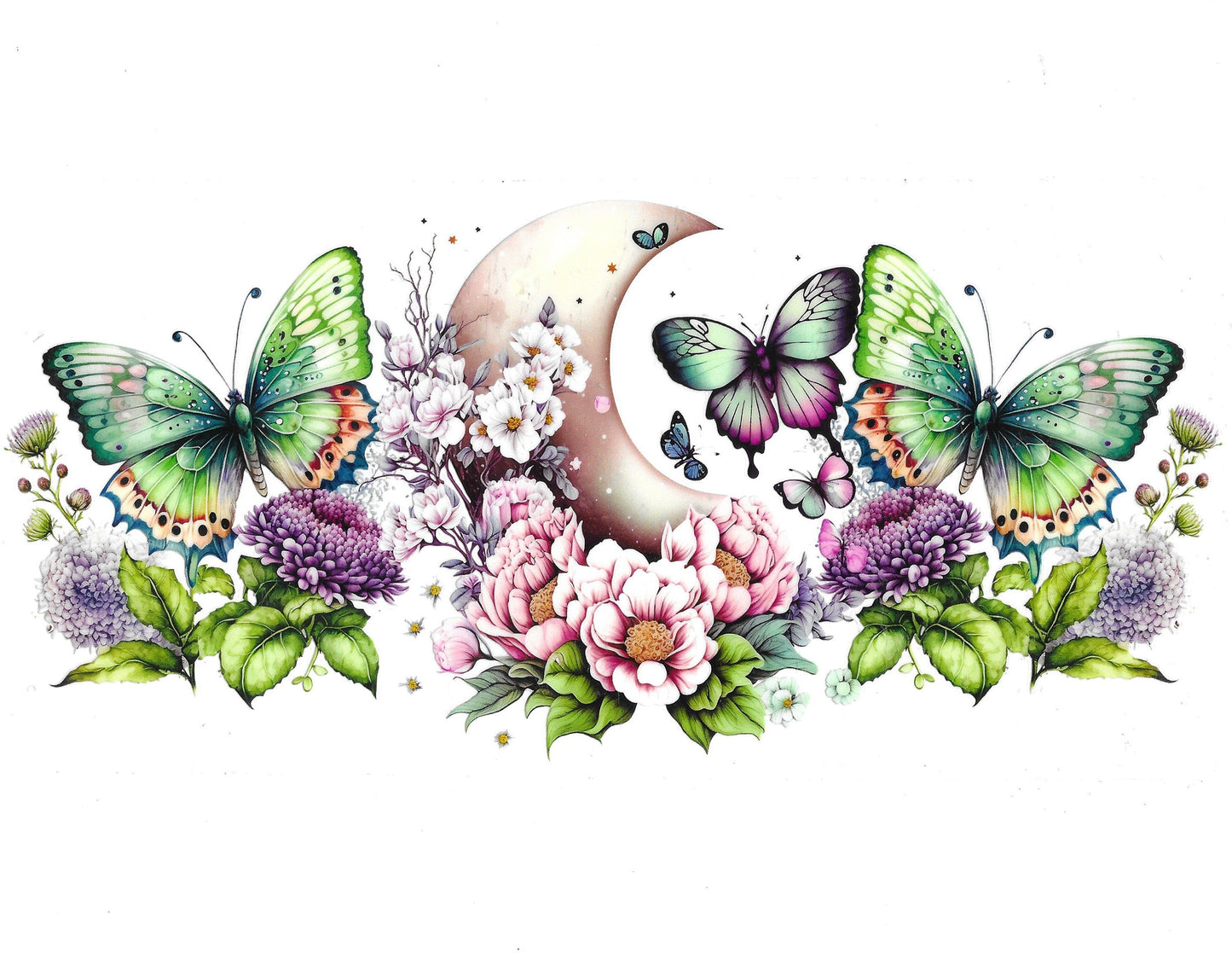 Butterfly #29