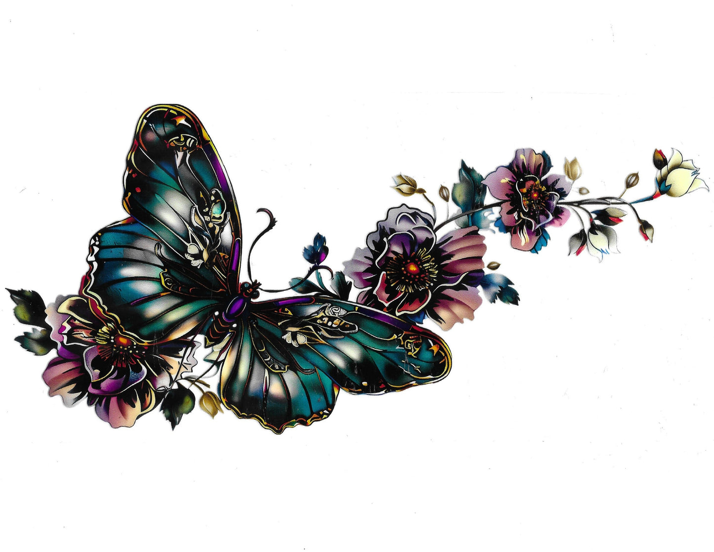 Butterfly #62