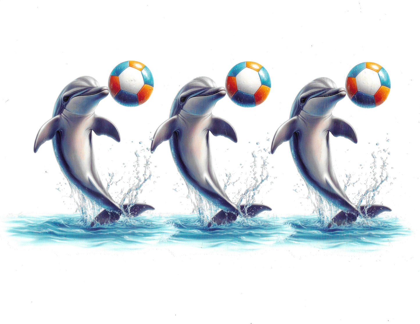 Dolphin #14