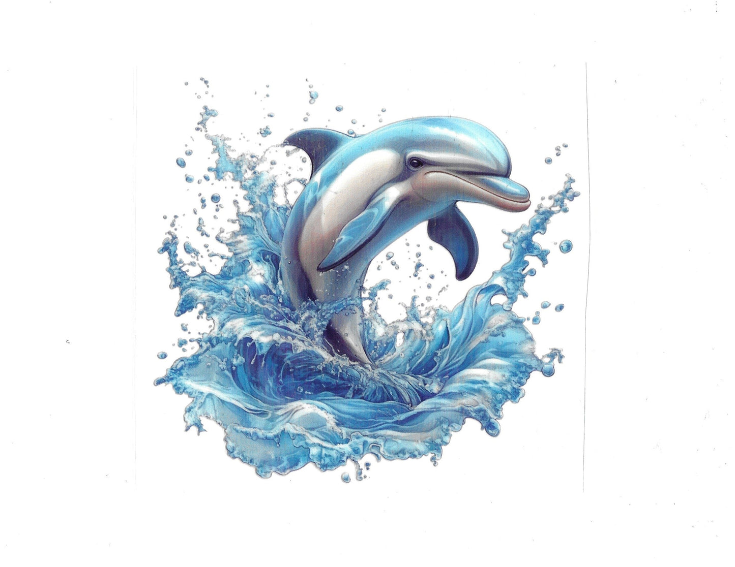 Dolphin #15