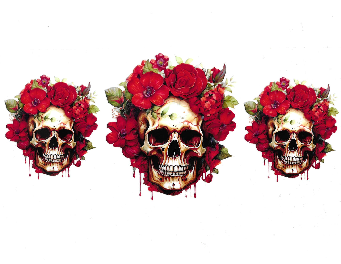 Skull #02