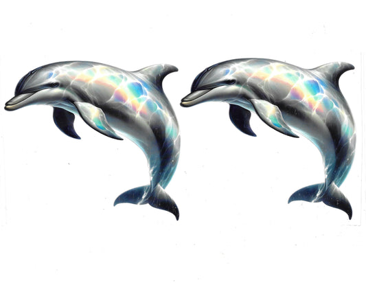 Dolphin #16