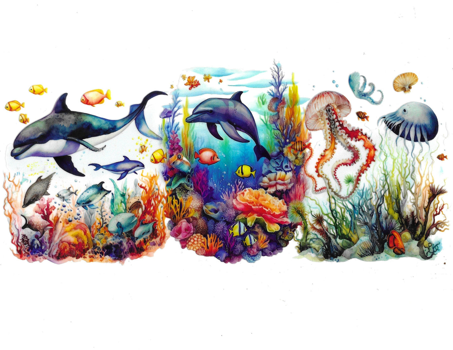 Dolphin #18