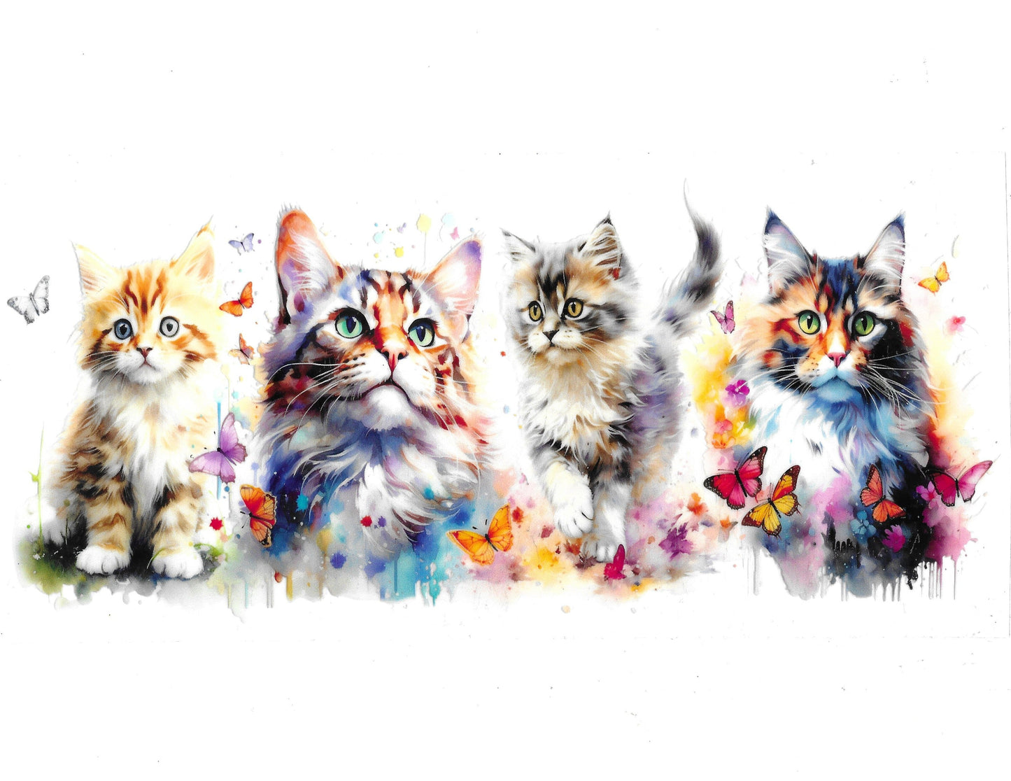 Cat #11