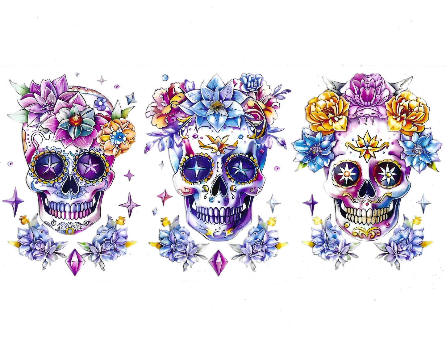 Skull #11