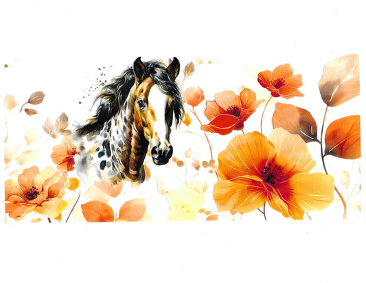 Horse #55