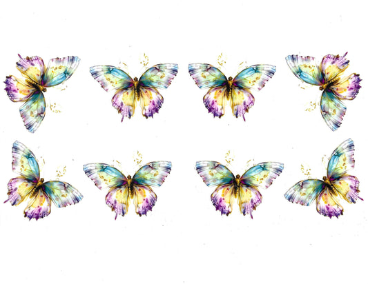 Butterfly #102