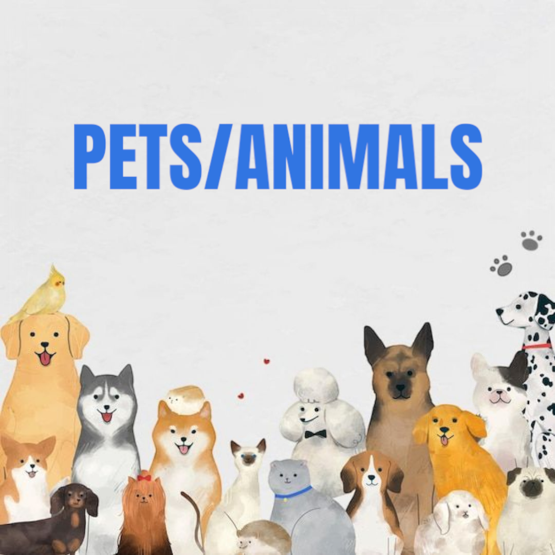 PETS & ANIMALS